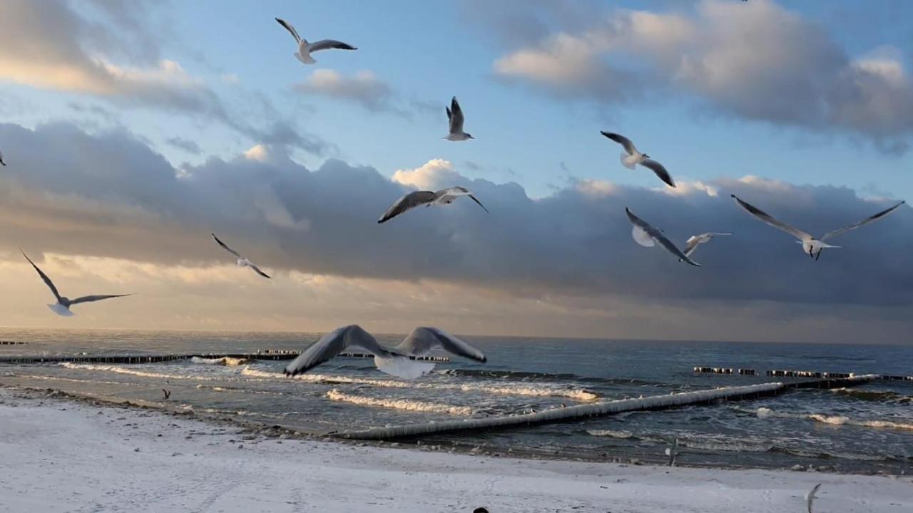 Pokoje Goscinne Motylek Dźwirzyno Exterior foto