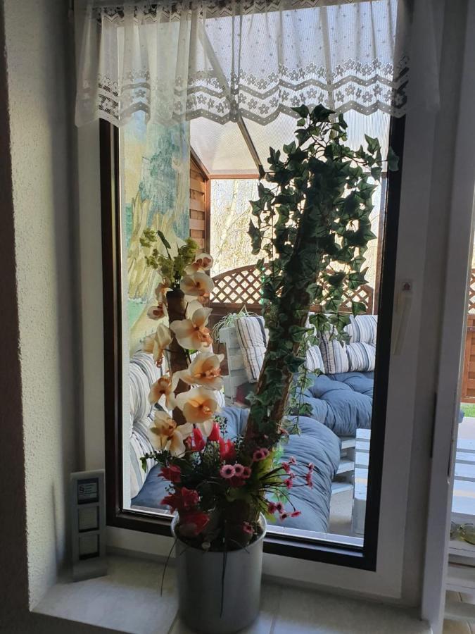 Pokoje Goscinne Motylek Dźwirzyno Exterior foto
