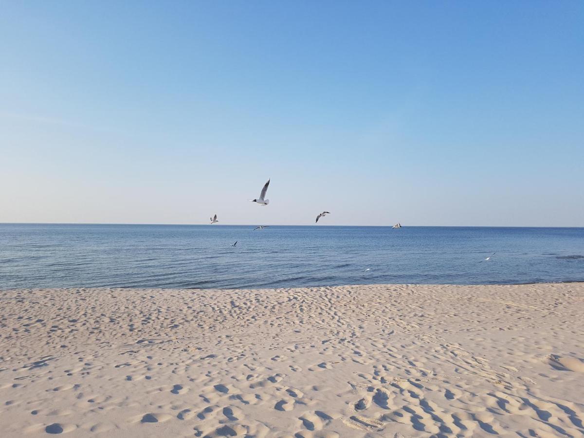 Pokoje Goscinne Motylek Dźwirzyno Exterior foto